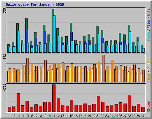 Daily usage for January 2026