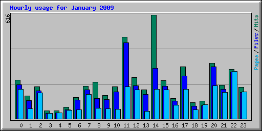 Hourly usage for January 2009