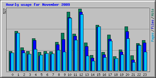 Hourly usage for November 2009