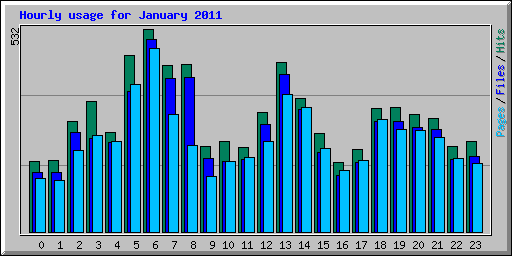 Hourly usage for January 2011