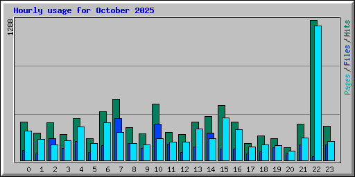 Hourly usage for October 2025