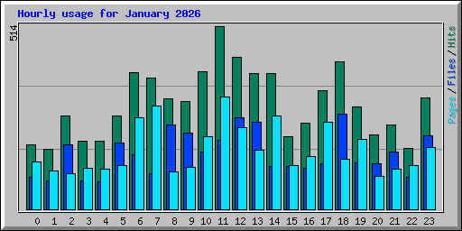 Hourly usage for January 2026