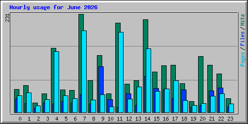 Hourly usage for June 2026
